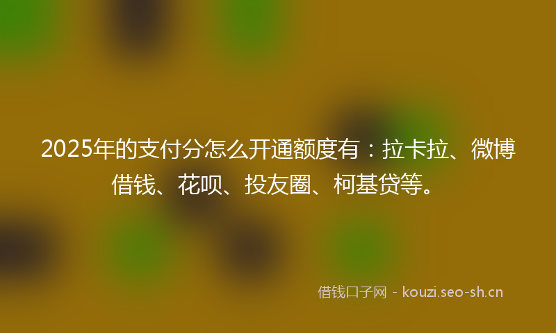 2025年的支付分怎么开通额度有：拉卡拉、微博借钱、花呗、投友圈、柯基贷等。