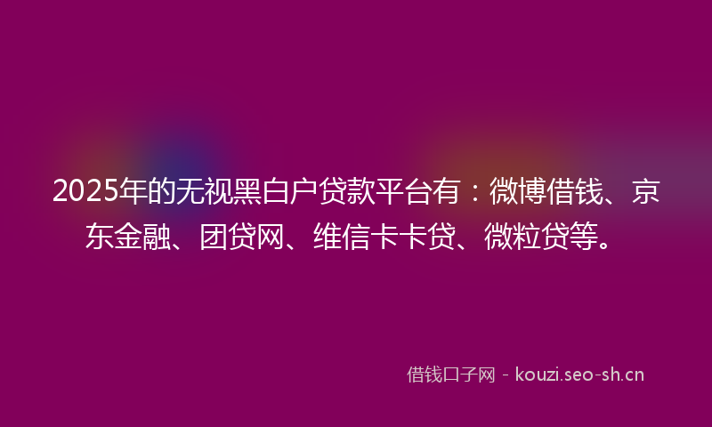 2025年的无视黑白户贷款平台有：微博借钱、京东金融、团贷网、维信卡卡贷、微粒贷等。