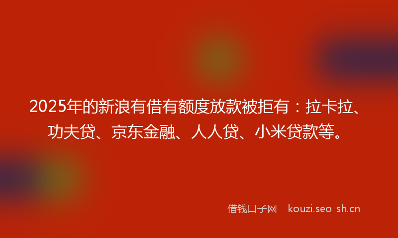 2025年的新浪有借有额度放款被拒有：拉卡拉、功夫贷、京东金融、人人贷、小米贷款等。