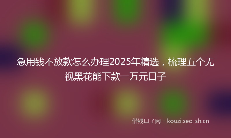 急用钱不放款怎么办理2025年精选，梳理五个无视黑花能下款一万元口子