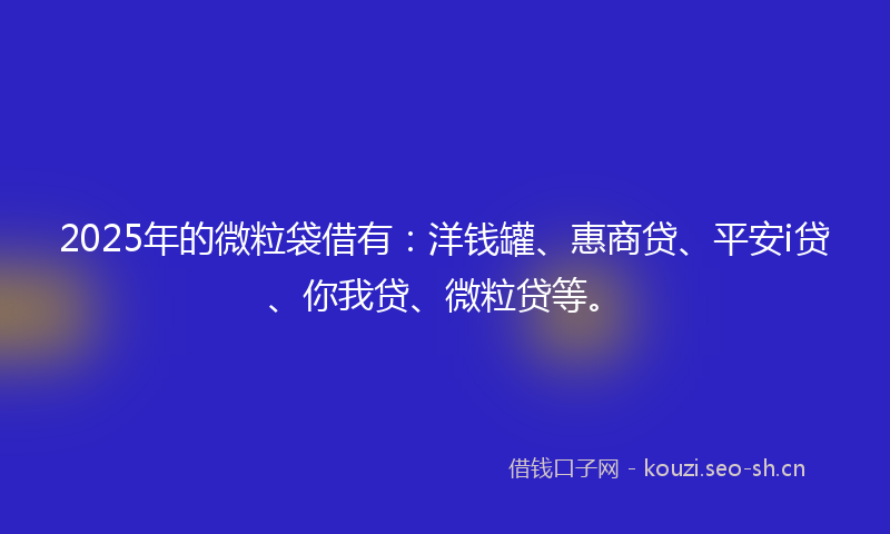 2025年的微粒袋借有：洋钱罐、惠商贷、平安i贷、你我贷、微粒贷等。