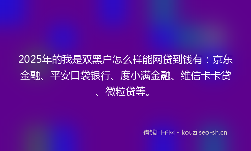 2025年的我是双黑户怎么样能网贷到钱有：京东金融、平安口袋银行、度小满金融、维信卡卡贷、微粒贷等。