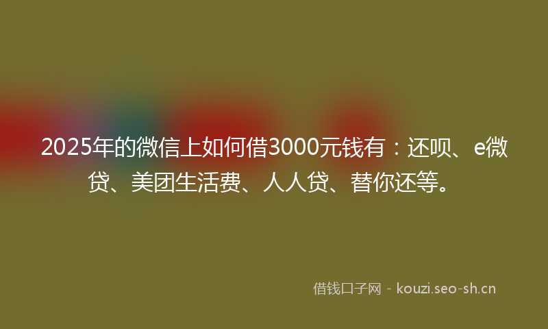 2025年的微信上如何借3000元钱有：还呗、e微贷、美团生活费、人人贷、替你还等。
