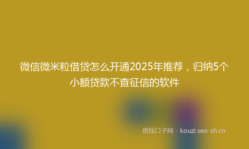 微信微米粒借贷怎么开通2025年推荐，归纳5个小额贷款不查征信的软件
