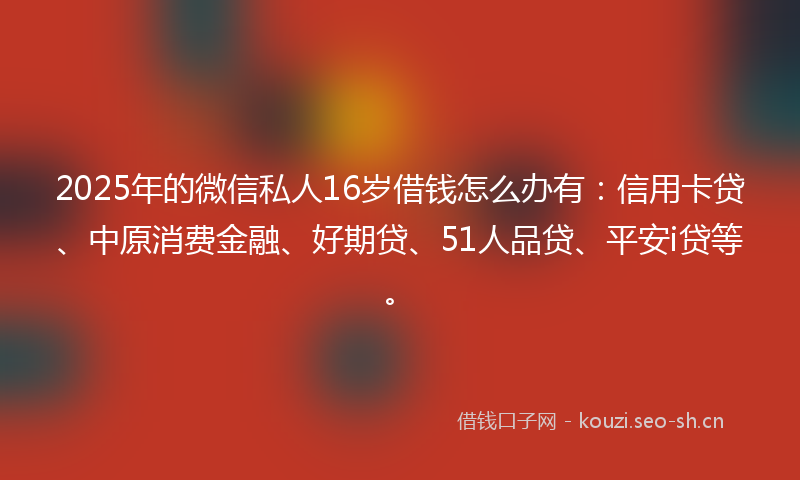 2025年的微信私人16岁借钱怎么办有：信用卡贷、中原消费金融、好期贷、51人品贷、平安i贷等。