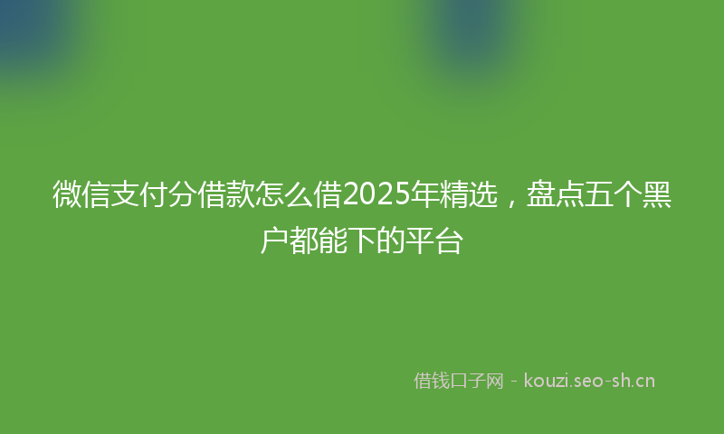 微信支付分借款怎么借2025年精选，盘点五个黑户都能下的平台