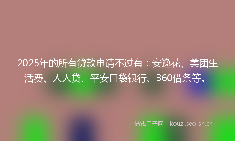 2025年的所有贷款申请不过有：安逸花、美团生活费、人人贷、平安口袋银行、360借条等。