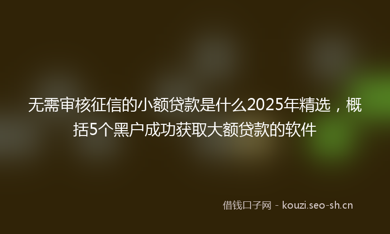 无需审核征信的小额贷款是什么2025年精选，概括5个黑户成功获取大额贷款的软件