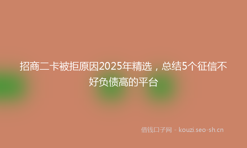 招商二卡被拒原因2025年精选，总结5个征信不好负债高的平台