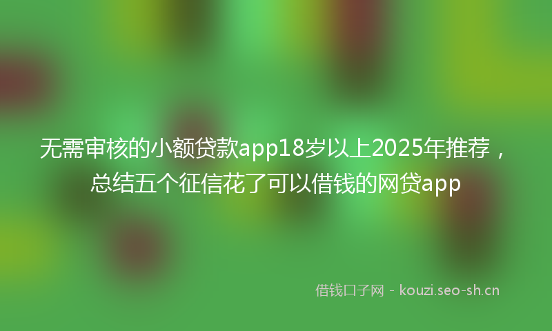 无需审核的小额贷款app18岁以上2025年推荐，总结五个征信花了可以借钱的网贷app