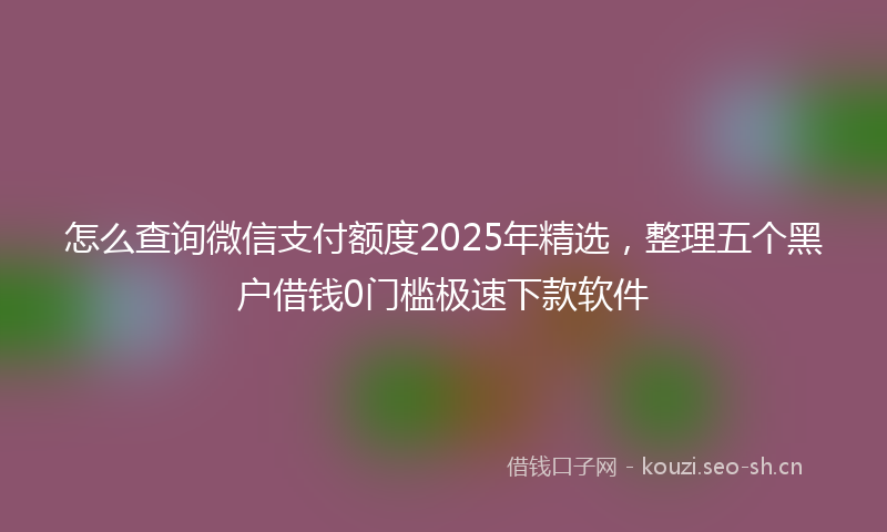 怎么查询微信支付额度2025年精选，整理五个黑户借钱0门槛极速下款软件