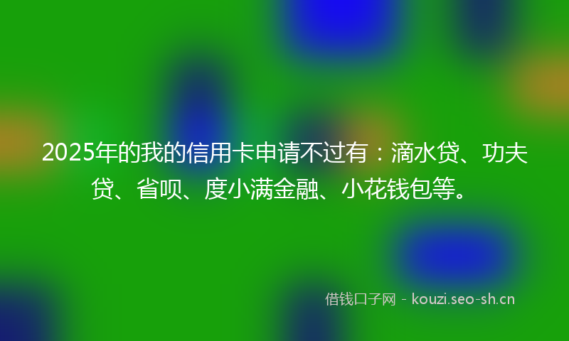 2025年的我的信用卡申请不过有：滴水贷、功夫贷、省呗、度小满金融、小花钱包等。