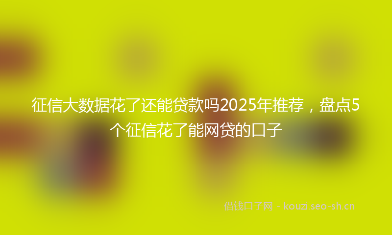 征信大数据花了还能贷款吗2025年推荐，盘点5个征信花了能网贷的口子