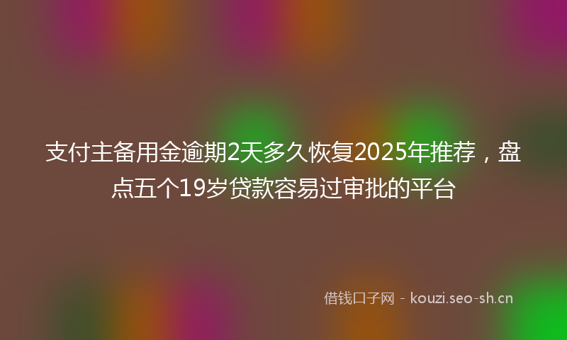 支付主备用金逾期2天多久恢复2025年推荐，盘点五个19岁贷款容易过审批的平台
