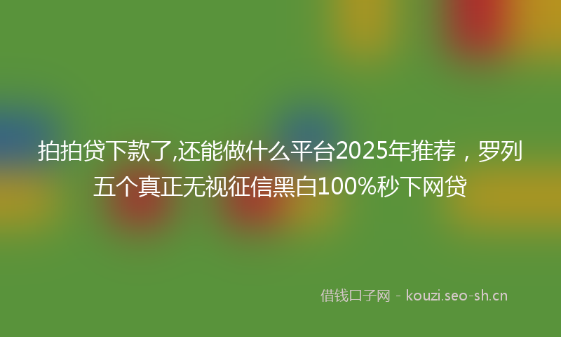 拍拍贷下款了,还能做什么平台2025年推荐，罗列五个真正无视征信黑白100%秒下网贷