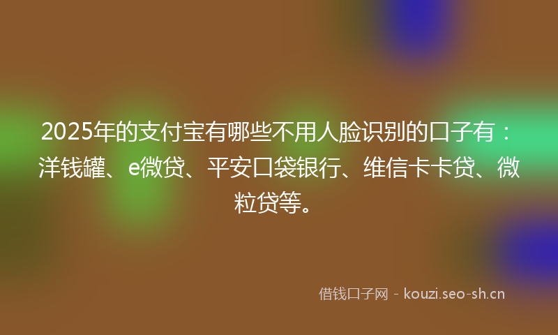 2025年的支付宝有哪些不用人脸识别的口子有：洋钱罐、e微贷、平安口袋银行、维信卡卡贷、微粒贷等。