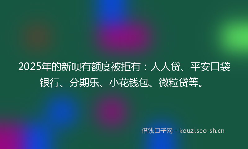 2025年的新呗有额度被拒有：人人贷、平安口袋银行、分期乐、小花钱包、微粒贷等。