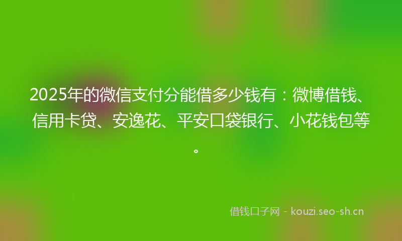 2025年的微信支付分能借多少钱有：微博借钱、信用卡贷、安逸花、平安口袋银行、小花钱包等。