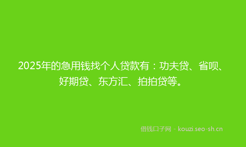 2025年的急用钱找个人贷款有：功夫贷、省呗、好期贷、东方汇、拍拍贷等。