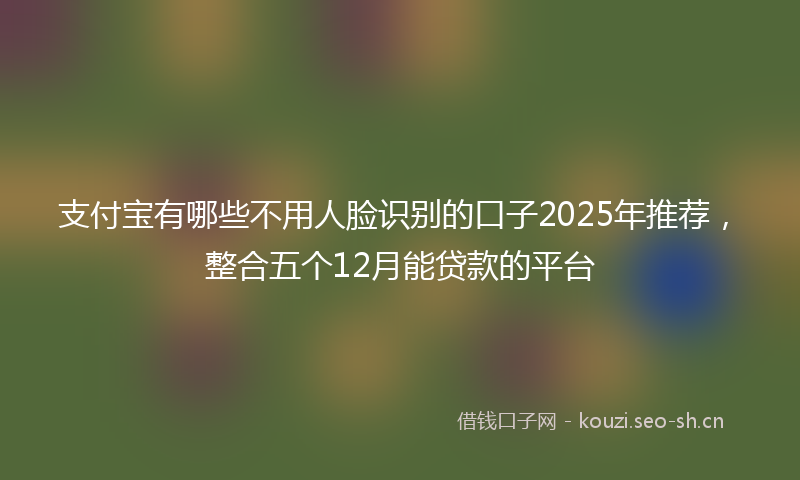 支付宝有哪些不用人脸识别的口子2025年推荐，整合五个12月能贷款的平台
