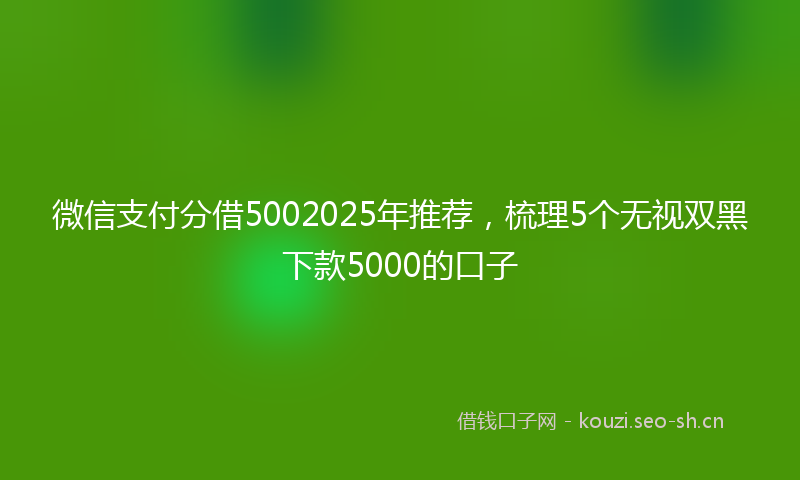 微信支付分借5002025年推荐，梳理5个无视双黑下款5000的口子