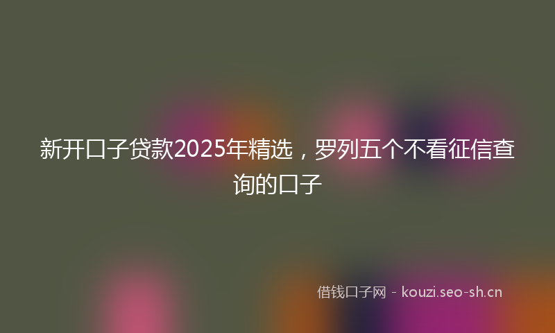 新开口子贷款2025年精选，罗列五个不看征信查询的口子