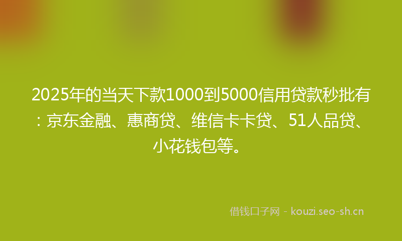 2025年的当天下款1000到5000信用贷款秒批有：京东金融、惠商贷、维信卡卡贷、51人品贷、小花钱包等。