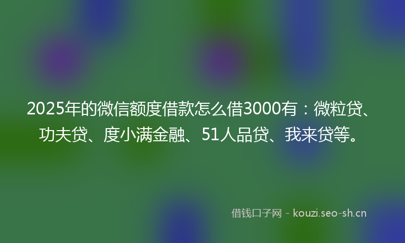 2025年的微信额度借款怎么借3000有：微粒贷、功夫贷、度小满金融、51人品贷、我来贷等。