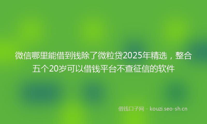 微信哪里能借到钱除了微粒贷2025年精选，整合五个20岁可以借钱平台不查征信的软件