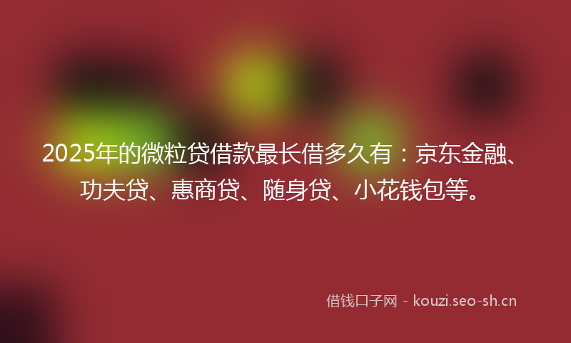2025年的微粒贷借款最长借多久有：京东金融、功夫贷、惠商贷、随身贷、小花钱包等。