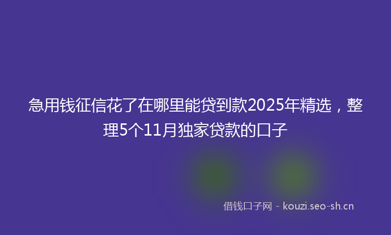 急用钱征信花了在哪里能贷到款2025年精选,整理5个11月独家贷款的口子