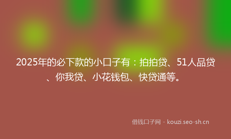 2025年的必下款的小口子有：拍拍贷、51人品贷、你我贷、小花钱包、快贷通等。