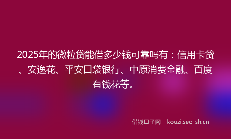 2025年的微粒贷能借多少钱可靠吗有：信用卡贷、安逸花、平安口袋银行、中原消费金融、百度有钱花等。