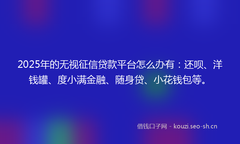 2025年的无视征信贷款平台怎么办有：还呗、洋钱罐、度小满金融、随身贷、小花钱包等。