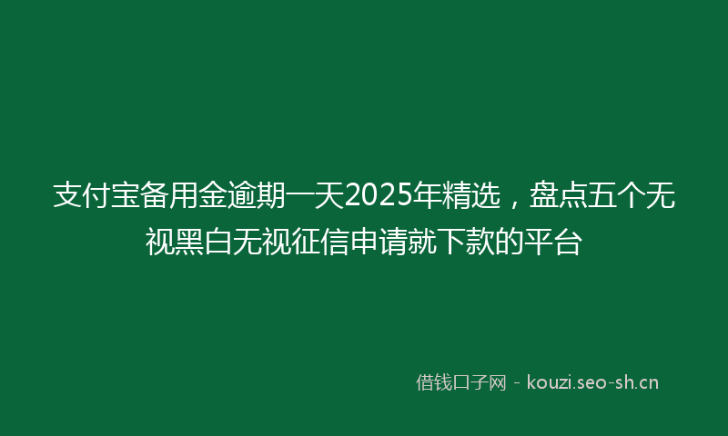 支付宝备用金逾期一天2025年精选,盘点五个无视黑白无视征信申请就下款的平台