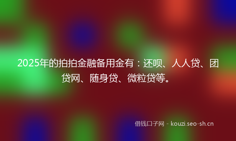2025年的拍拍金融备用金有：还呗、人人贷、团贷网、随身贷、微粒贷等。