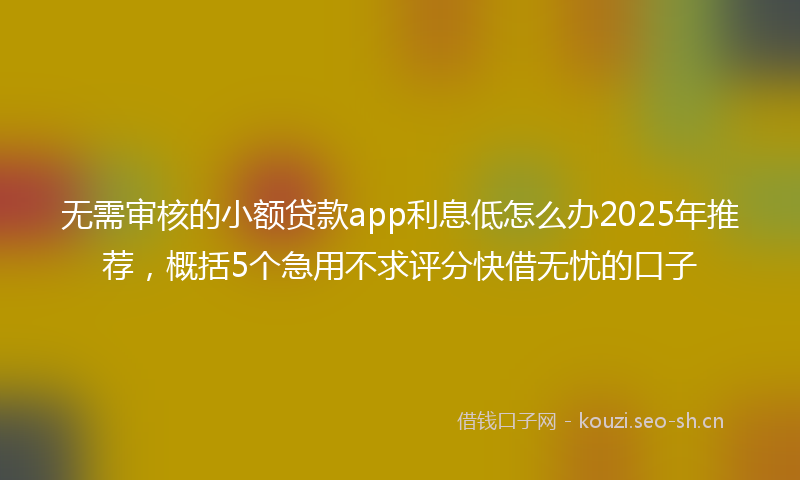 无需审核的小额贷款app利息低怎么办2025年推荐，概括5个急用不求评分快借无忧的口子