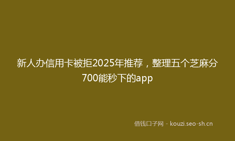 新人办信用卡被拒2025年推荐，整理五个芝麻分700能秒下的app