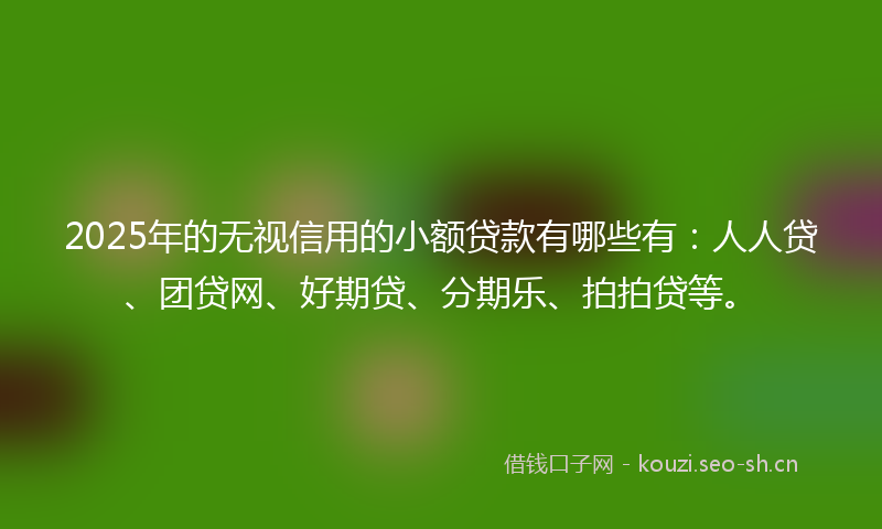 2025年的无视信用的小额贷款有哪些有：人人贷、团贷网、好期贷、分期乐、拍拍贷等。
