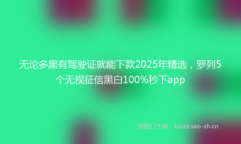 无论多黑有驾驶证就能下款2025年精选，罗列5个无视征信黑白100%秒下app