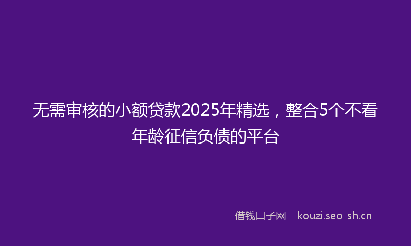 无需审核的小额贷款2025年精选，整合5个不看年龄征信负债的平台