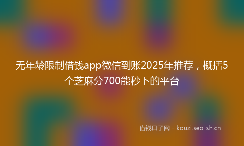 无年龄限制借钱app微信到账2025年推荐，概括5个芝麻分700能秒下的平台