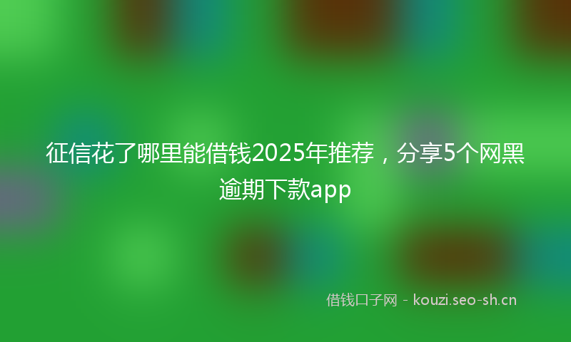 征信花了哪里能借钱2025年推荐,分享5个网黑逾期下款app