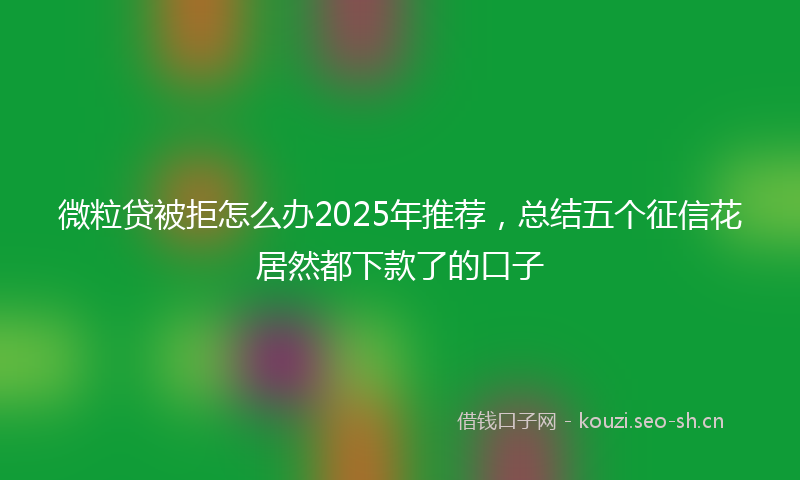 微粒贷被拒怎么办2025年推荐，总结五个征信花居然都下款了的口子