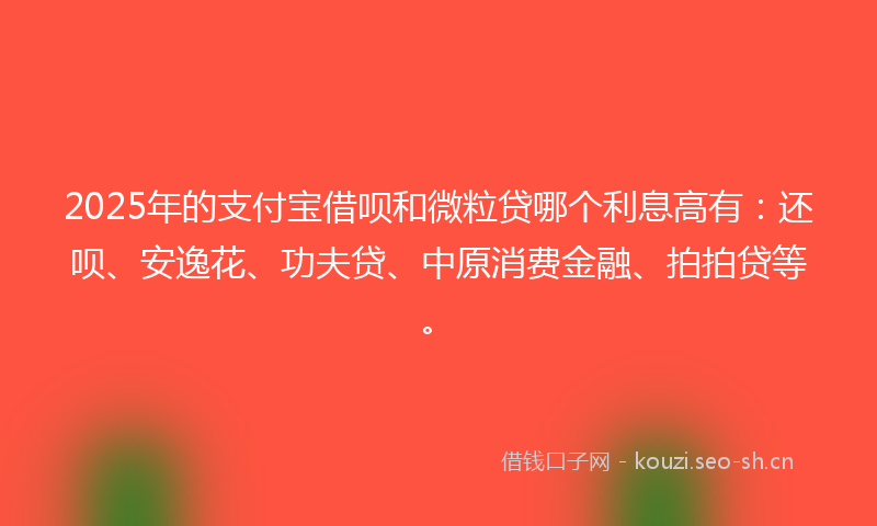 2025年的支付宝借呗和微粒贷哪个利息高有：还呗、安逸花、功夫贷、中原消费金融、拍拍贷等。