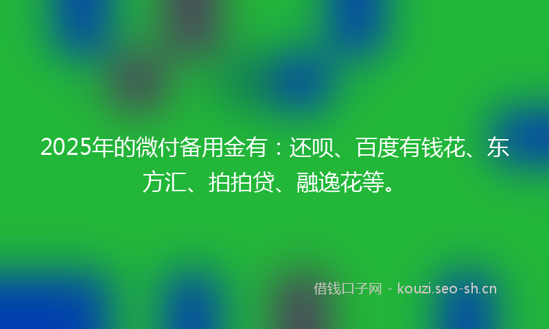 2025年的微付备用金有：还呗、百度有钱花、东方汇、拍拍贷、融逸花等。