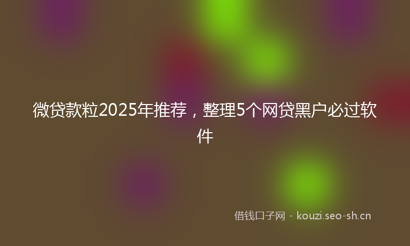 微贷款粒2025年推荐，整理5个网贷黑户必过软件