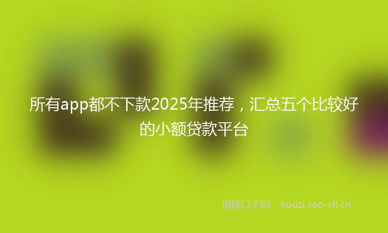 所有app都不下款2025年推荐，汇总五个比较好的小额贷款平台
