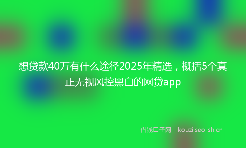 想贷款40万有什么途径2025年精选，概括5个真正无视风控黑白的网贷app