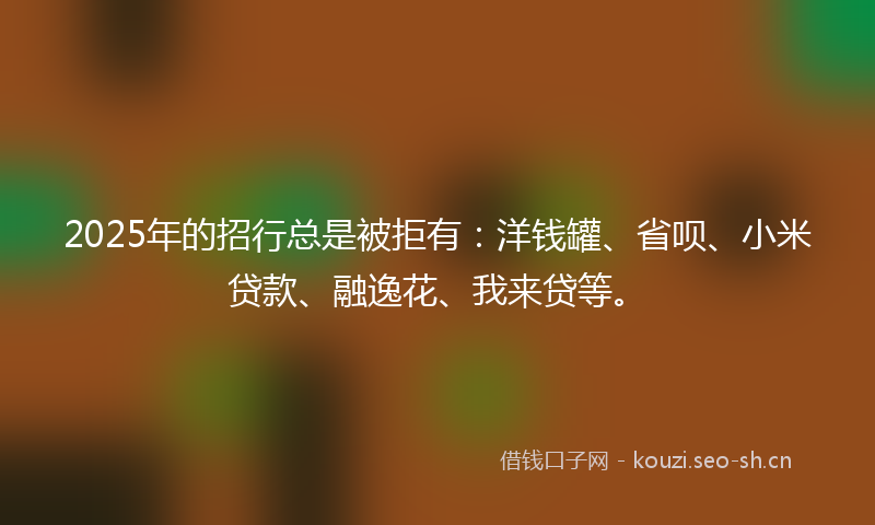 2025年的招行总是被拒有:洋钱罐、省呗、小米贷款、融逸花、我来贷等。